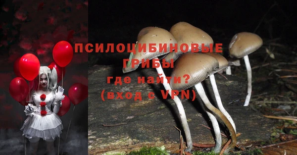 кокаин премиум Гусев