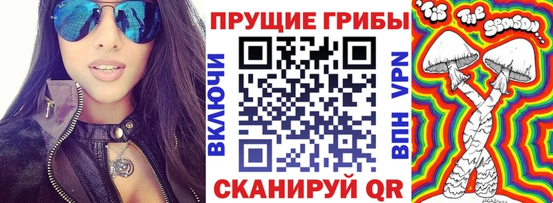 KRAKEN онион  Лахденпохья  Псилоцибиновые грибы Psilocybine cubensis 